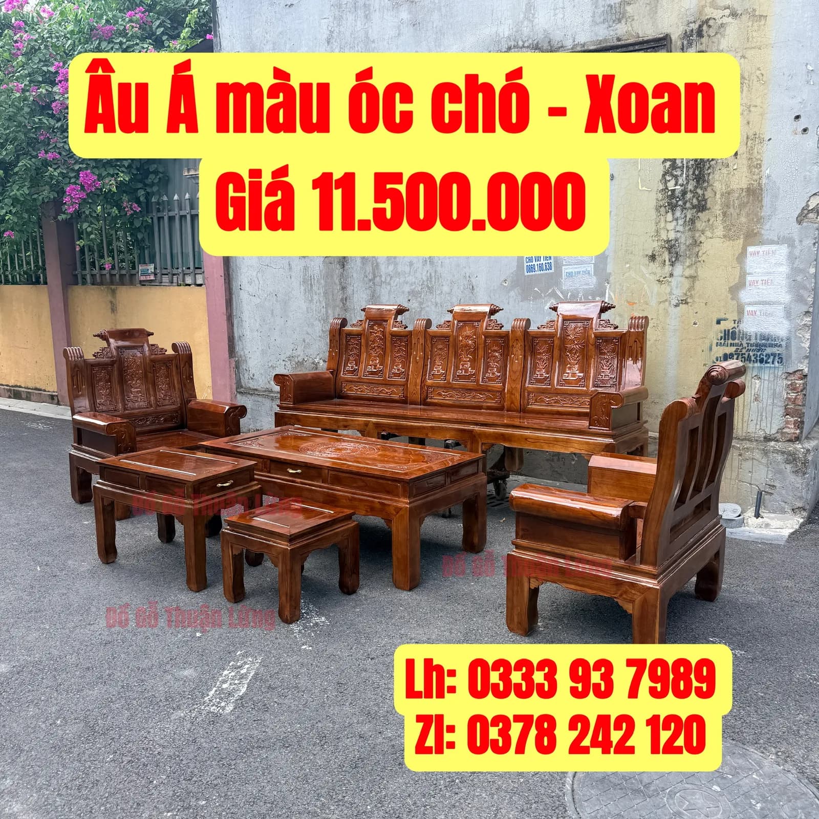 Âu Á màu óc chó Xoan