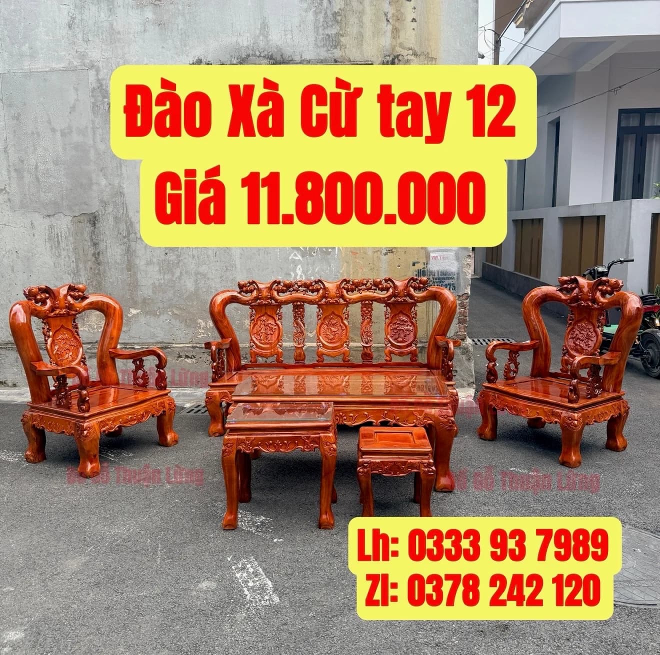 Đào Xà cừ tay 12